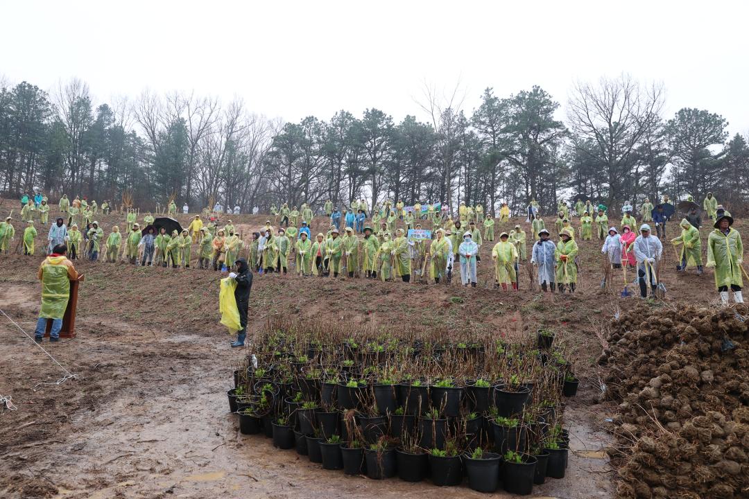 '제79회 식목일 기념 나무심기 행사' 게시글의 사진(1)