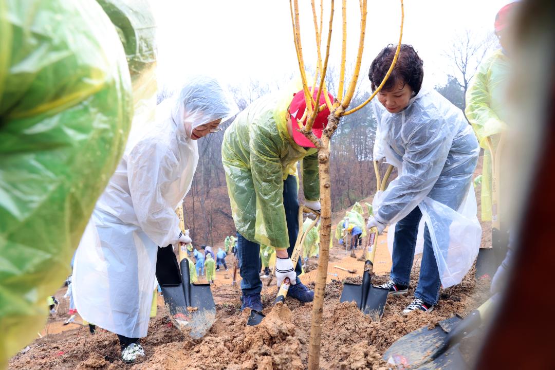 '제79회 식목일 기념 나무심기 행사' 게시글의 사진(8)