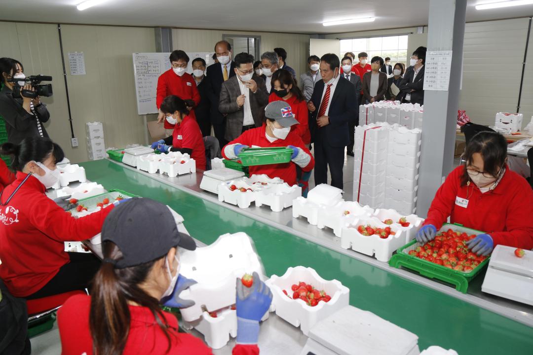 '김현수 농림축산식품부 장관 우공의 딸기 방문' 게시글의 사진(1)