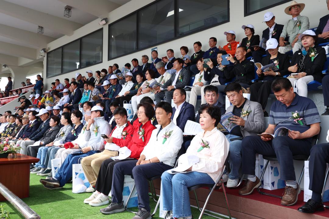 '제72회 상주시민 체육대회' 게시글의 사진(32)