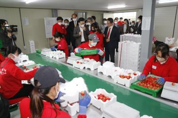 김현수 농림축산식품부 장관 우공의 딸기 방문